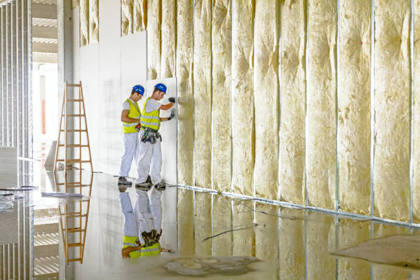 Best Fiberglass Insulation  in Marengo, IA
